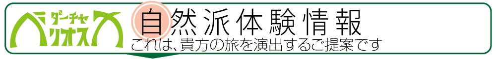 森の小さな宿ダーチャベリオスカ〜自然派体験情報