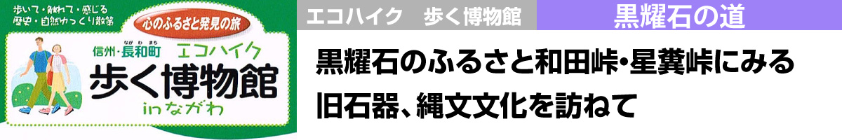 黒耀石のふるさと和田峠・星糞峠にみる 旧石器、縄文文化を訪ねて