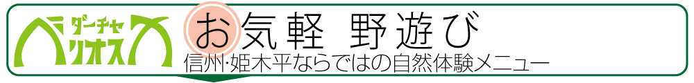 お気軽野遊び 信州姫木平ならではの自然体験