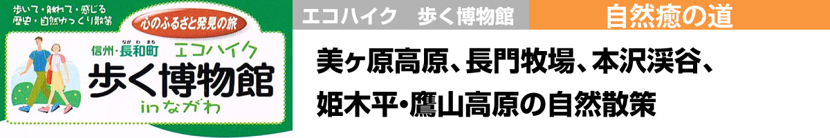 自然癒の道 美ヶ原高原、長門牧場、本沢渓谷、姫木平・鷹山高原の自然散策