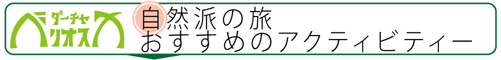 自然派の旅、おすすめのアクティビティー